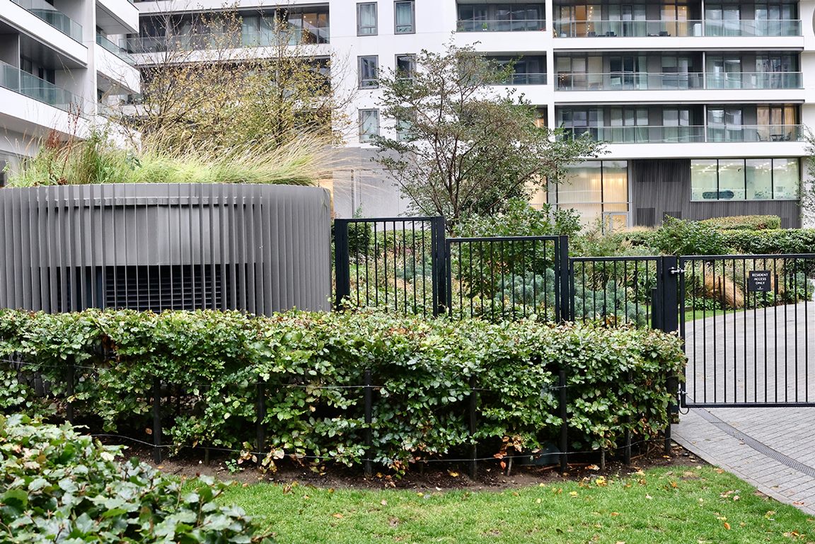 Metal railings and gate at a residential development